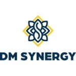 DM Synergies company icon