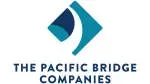 Pakibridge consultancy company icon
